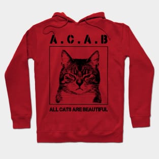 All Cats Are Beautiful Hoodie